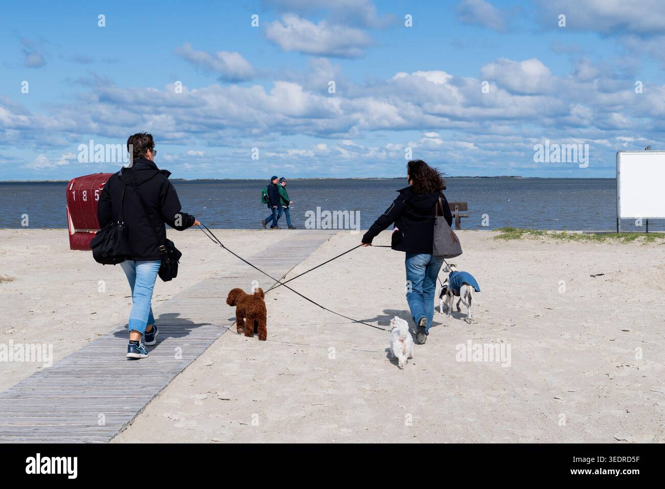 Urlaub mit Hunden an der Nordsee in Nessmersiel Stockfoto