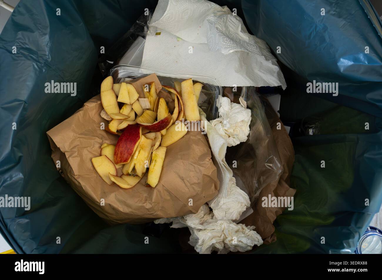 Eine Nahansicht zeigt Apfelkerne und -Schalen, gemischt mit zerknitterten Papiertüchern und Plastikverpackungen in einem dunkelgrünen Müllbeutel Stockfoto