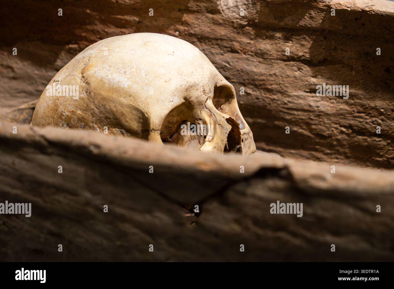 Schädel und Knochen im verruchten Holzsarg. zoroastrischer Ossuar Stockfoto