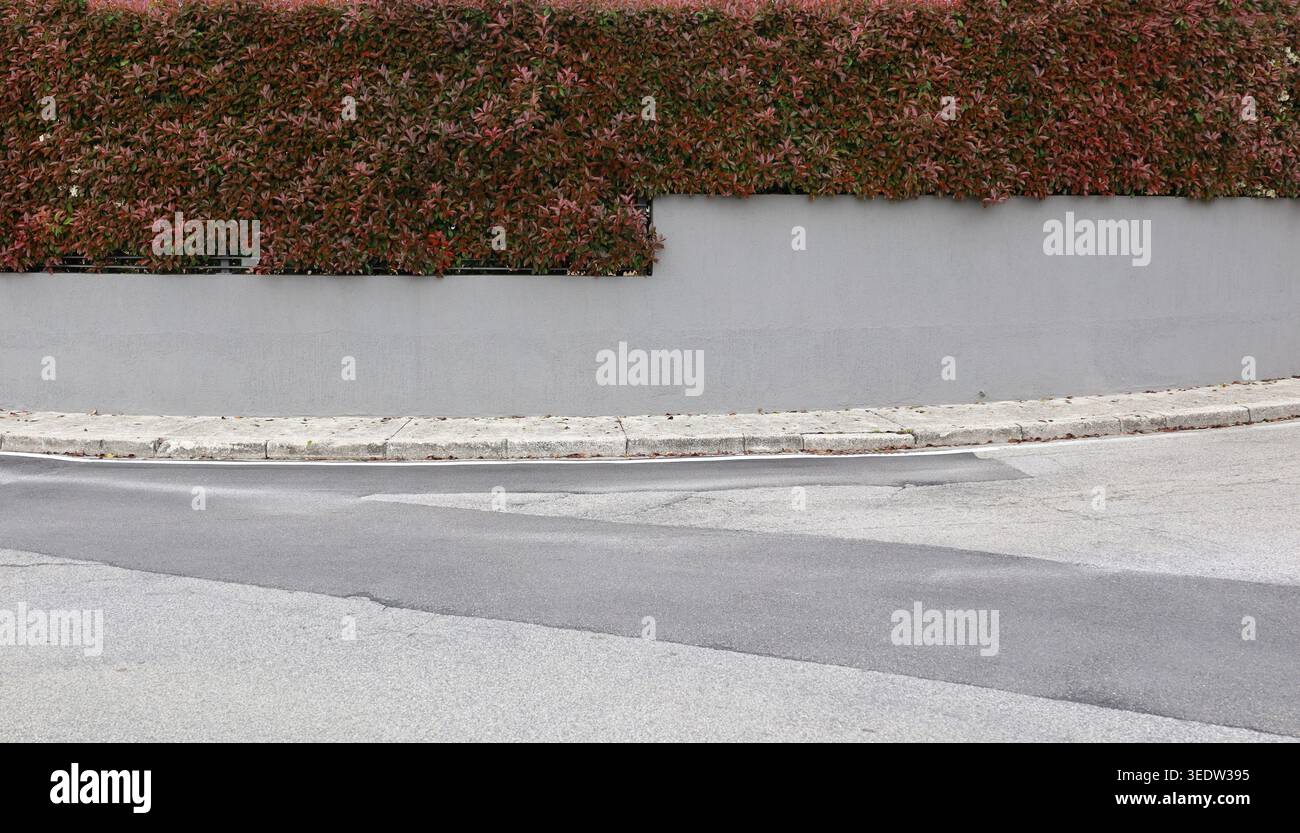 Grauer Gipszaun mit roter Blatthecke oben, an der Straßenecke. Betonfußweg und Straße vor dem Hotel. Hintergrund für Kopierbereich. Stockfoto