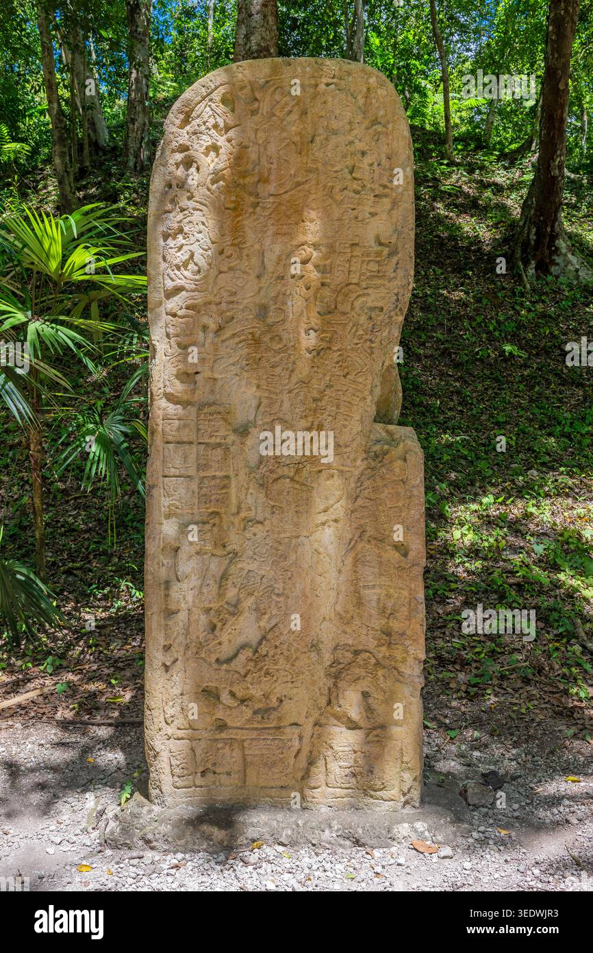 Stele oder Stele 31, Yaxha, Guatemala. Stockfoto