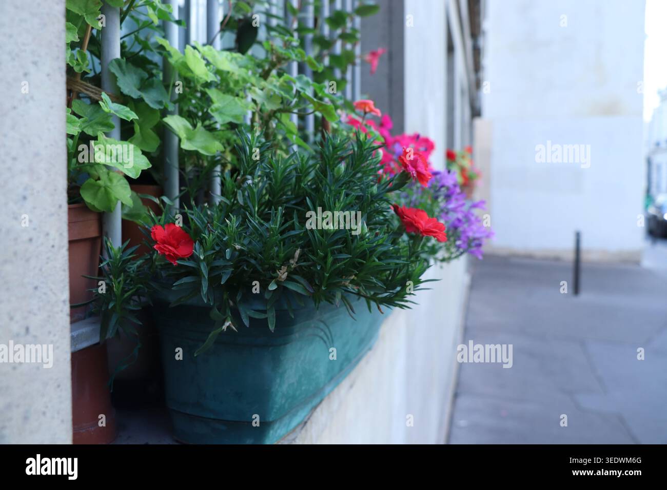 Klassische urbane Architektur und grüne Straßen, die den Alltag in Paris einfangen. Stockfoto