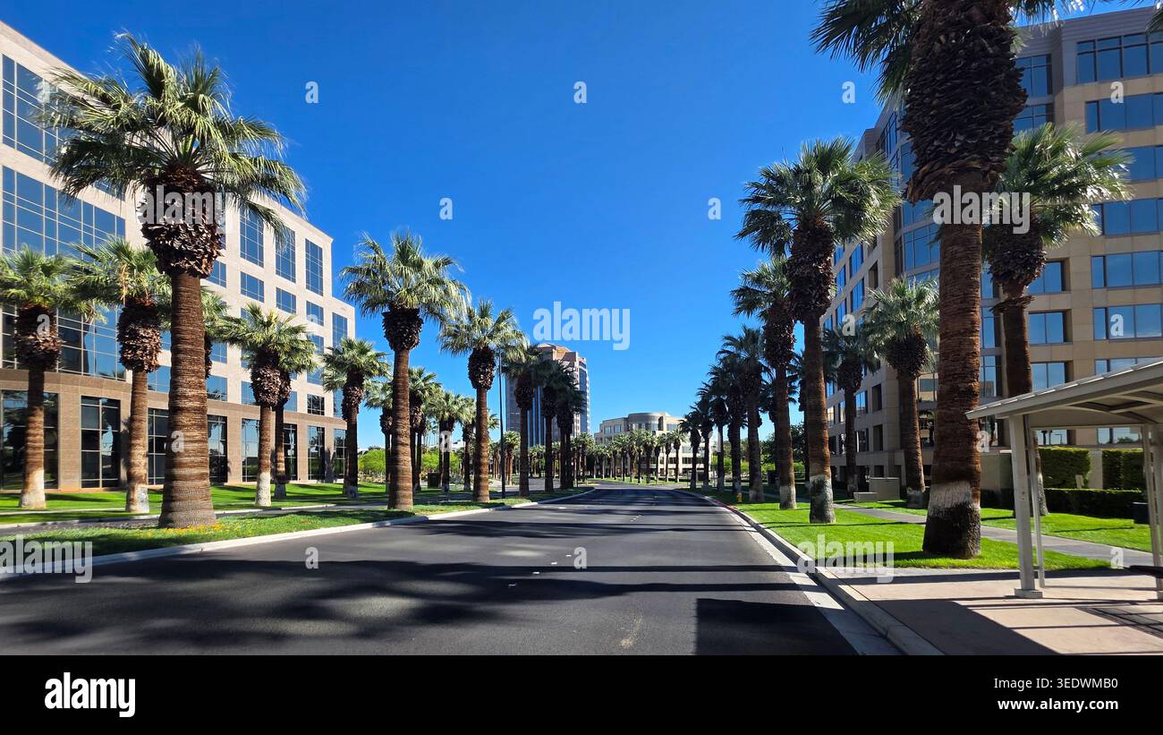 Von Palm Gesäumte Office Street Unter Blauem Himmel. Sonnige Geschäftsstraße gesäumt von hohen Palmen, modernen Bürogebäuden, grünen Rasenflächen und klarem Licht Stockfoto