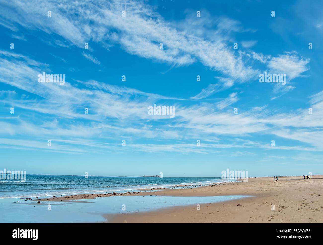 Ein friedlicher Sandstrand von Bamburgh erstreckt sich entlang eines ruhigen Ozeans mit sanften Wellen unter einem hellblauen Himmel, der von weißen Wolken gefüllt ist; ferne Figur Stockfoto