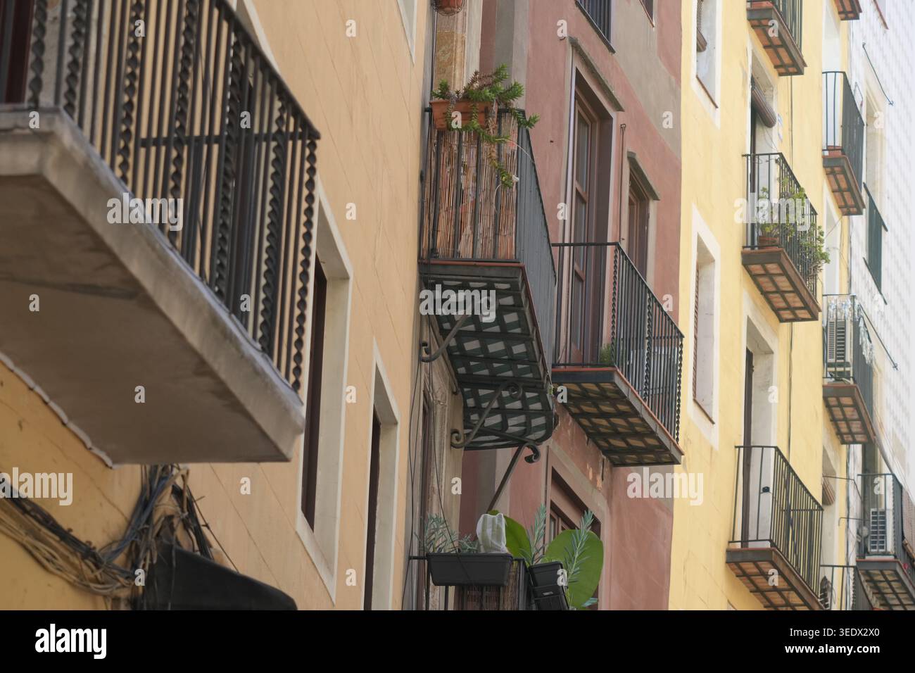Traditionelle Wohnhausfassaden im gotischen Viertel von Barcelona, Spanien Stockfoto