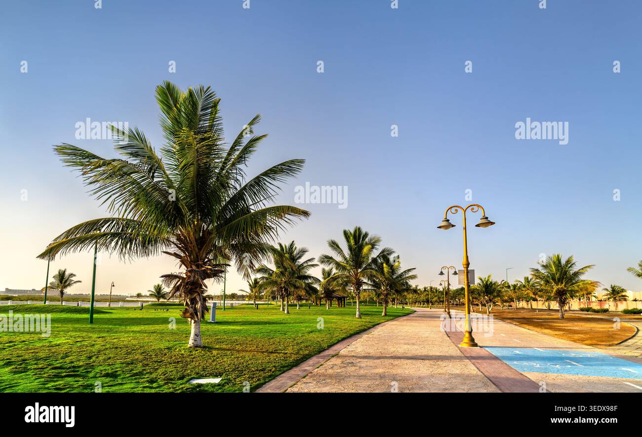 Malerischer Blick auf die grünen Rasenflächen und Wanderwege gesäumt von Palmen im Shushu Park in Yanbu, Saudi-Arabien Stockfoto
