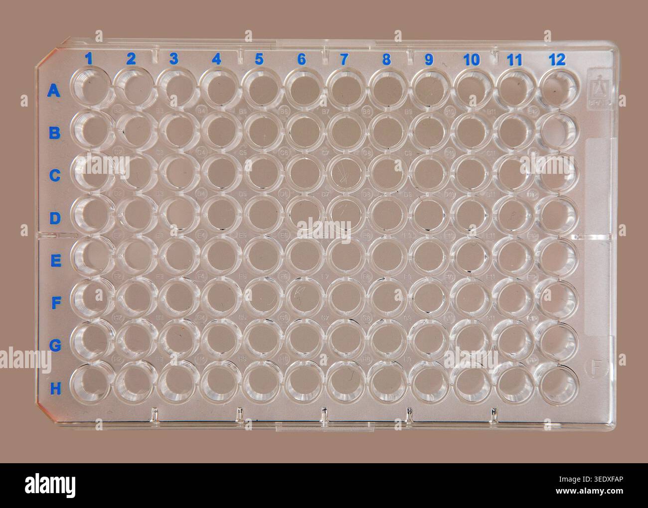 Eine Mikrotiterplatte oder Mikrotiterplatte oder Mikrotiterplatte oder Multiwell[1] ist eine flache Platte mit mehreren „Wells“, die als kleine Reagenzgläser verwendet werden. Stockfoto