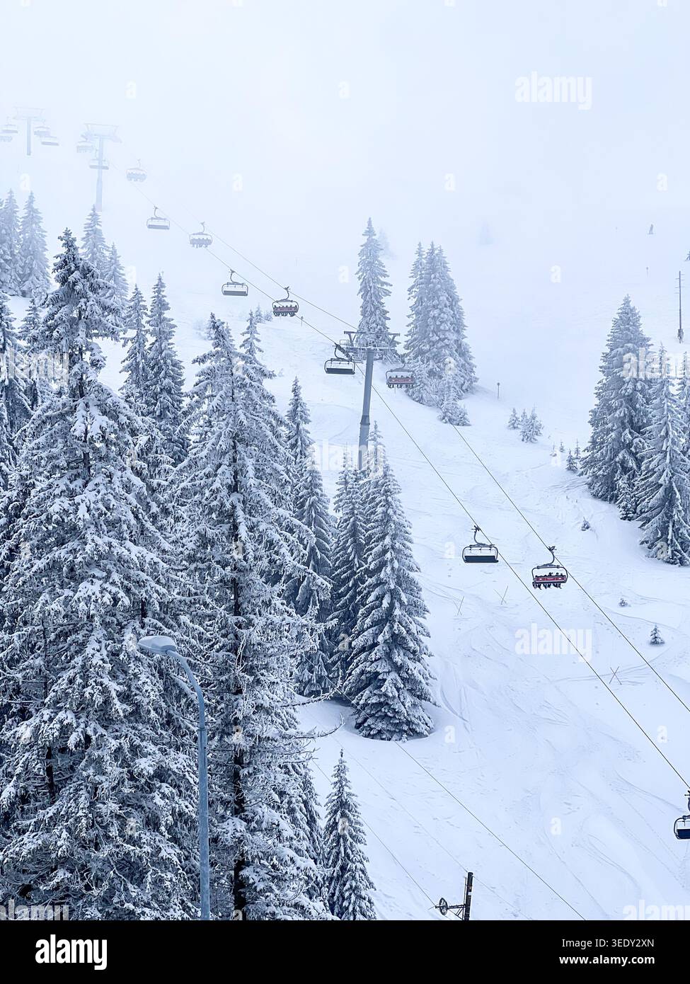 Skilift über schneebedeckten Kiefern auf dem Berg Jahorina während eines nebeligen Wintertages in Bosnien und Herzegowina. - Smartphone-aufgenommenes Stockfoto