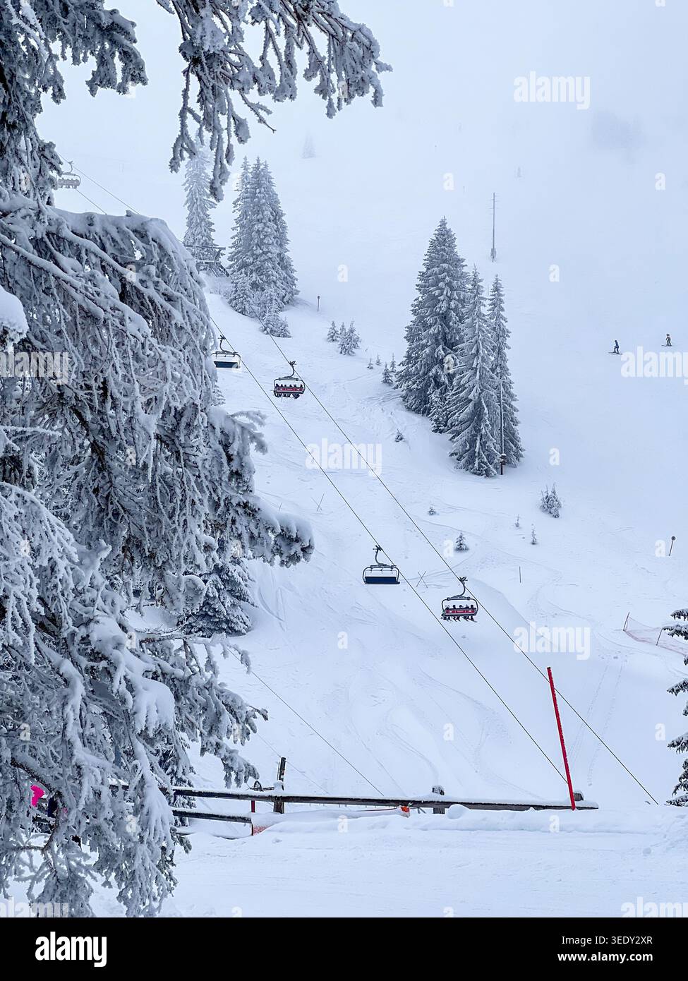 Sessellift und schneebedeckte Skipiste umgeben von Milchkiefern auf dem Berg Jahorina in Bosnien und Herzegowina. - Smartphone-aufgenommenes Stockfoto