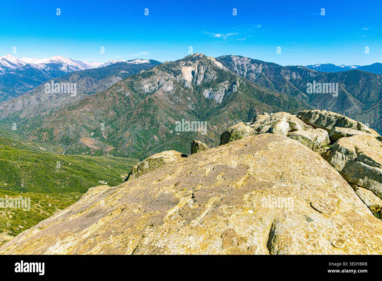 Atemberaubender panoramablick von einem Granitgipfel mit Blick auf geschichtete Bergkämme, bewaldete Täler und entfernte schneebedeckte Gipfel im Sequoia NP Stockfoto