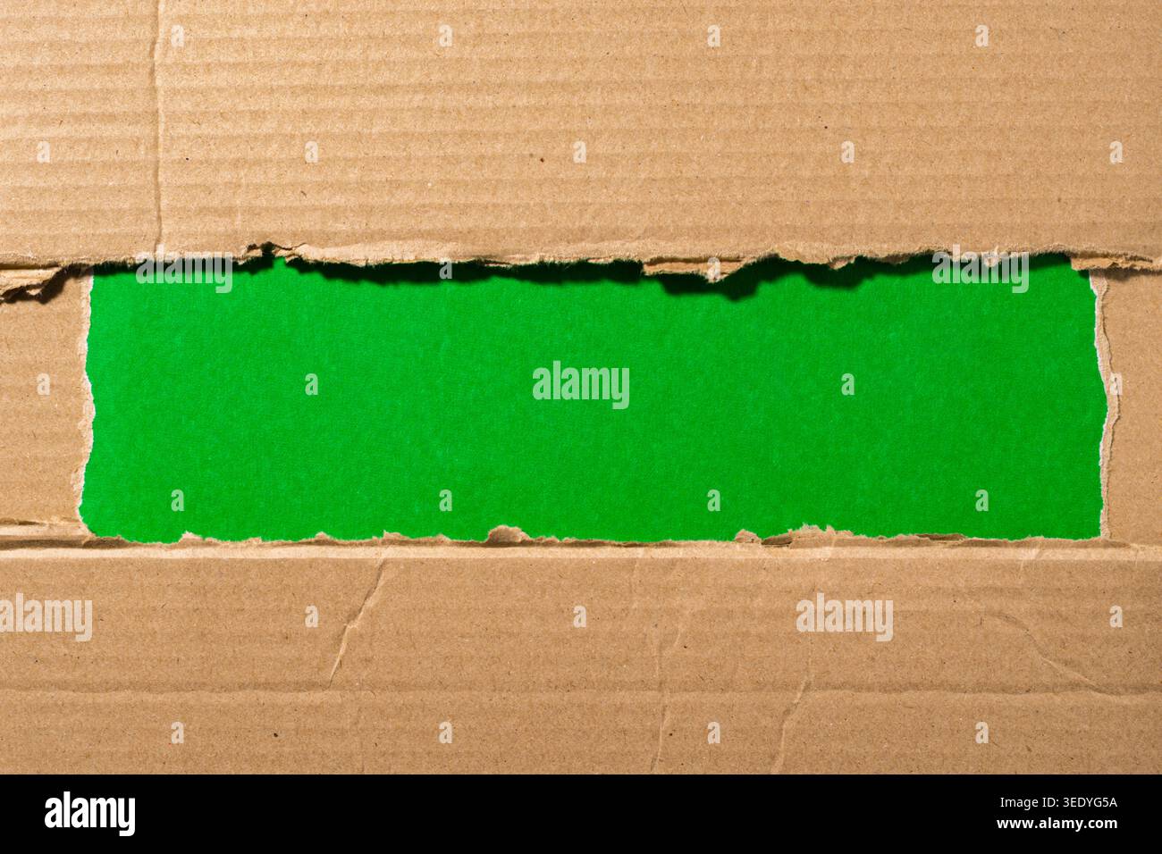 Abgerissenes braunes Wellpappenpapier mit anpassbarer grüner Farbtastatur. Kopierbereich für Konzept oder Botschaft, modernes kreatives Modell Stockfoto