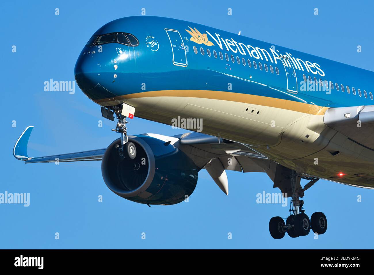 Vietnam Airlines Airbus A350-900 (VN-A899) Passagierflugzeug Nahaufnahme mit Nase und Winglet-Ansicht beim Endanflug mit ausgefahrenem Fahrwerk. Stockfoto