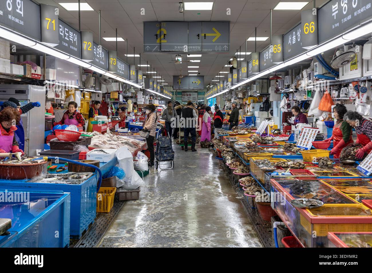 Verkäufer verkaufen frische Meeresfrüchte aus Körben und Tanks, während Einkäufer einen überfüllten Innenbereich im Jagalchi-Fischmarkt in Busan, Südkorea, entlangschlendern Stockfoto