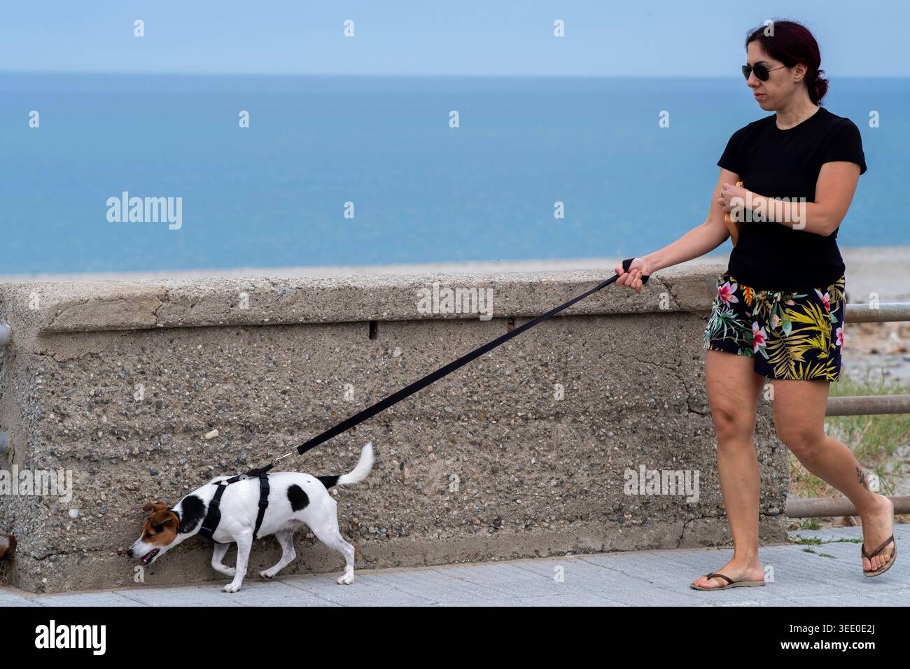 Eine Frau und ihr Hund spazieren entlang der Küste eines Küstendorfes. Die Frau ist 39 Jahre alt und hat dunkelrote Haare, der Hund ist zwei Jahre alt Stockfoto