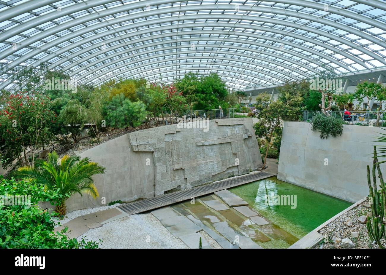 Im Great Glasshouse, National Botanic Gardens of Wales, Llanarthne, Carmarthenshire Stockfoto