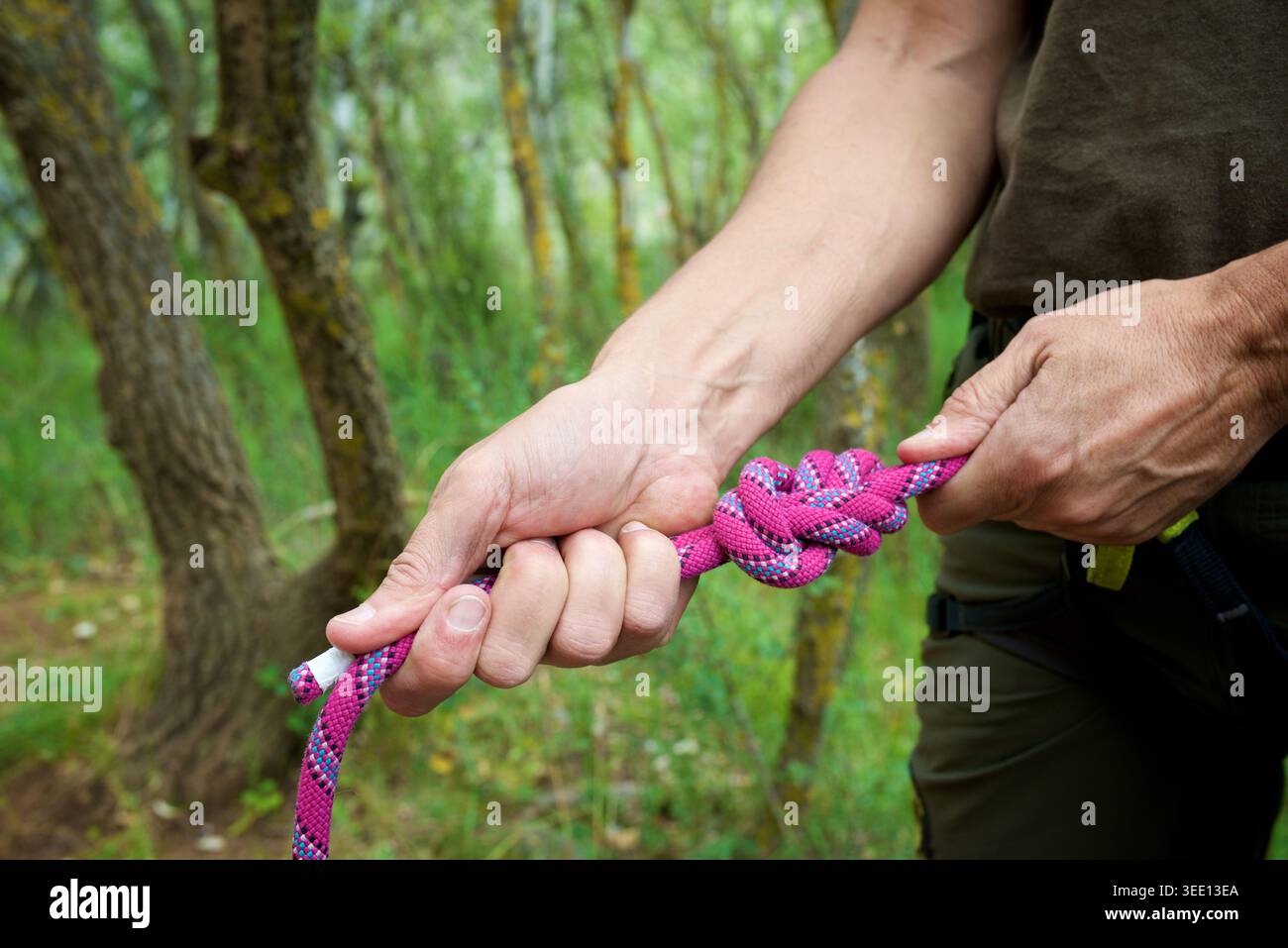 Nahaufnahme eines Kletterers, der das Kletterseil an seinem Klettergurt knüpft Stockfoto