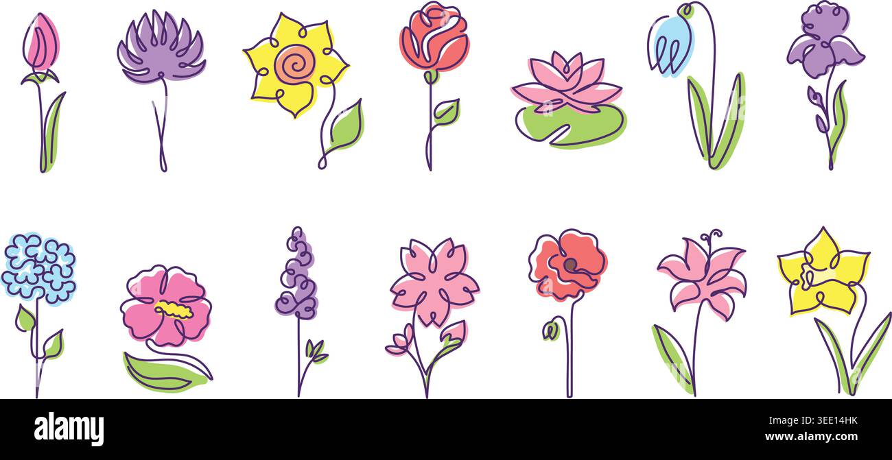 Blumen bunte Blütenblätter und Blüte eine Linie Blume mit Tulpenrosen Lotus. Lily Iris Orchidee und Nelke Stiefmütterchen Narzissen mit Hortensie Pfingstrosenmohn Stock Vektor