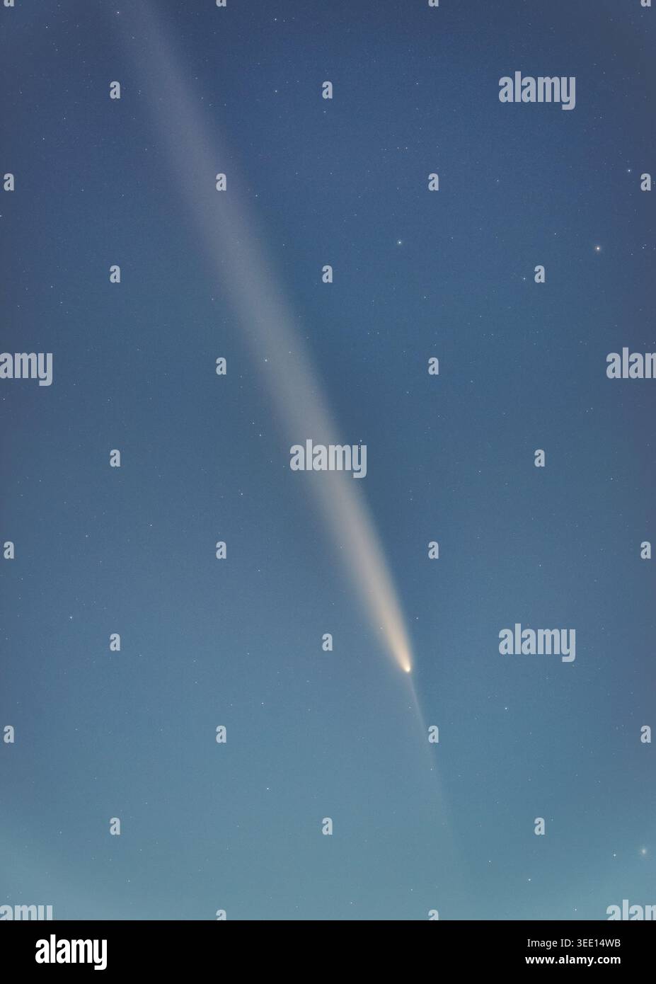 Interstellarer Komet mit sichtbarem Koma, Schwanz und Antitail Stockfoto