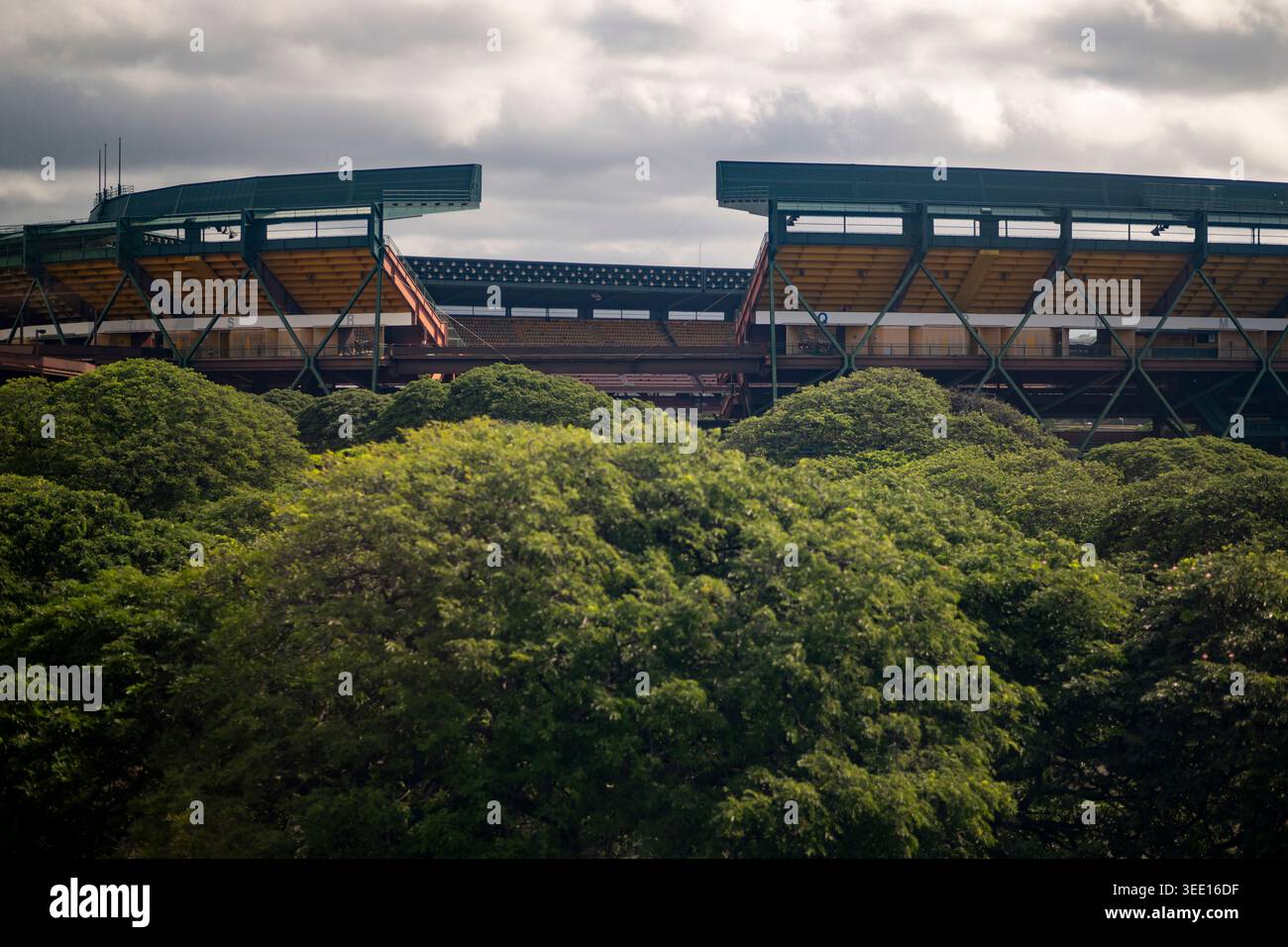 Aloha Stadium Upper Deck Erhebt Sich Über Dichten Grünen Baumkronen Stockfoto