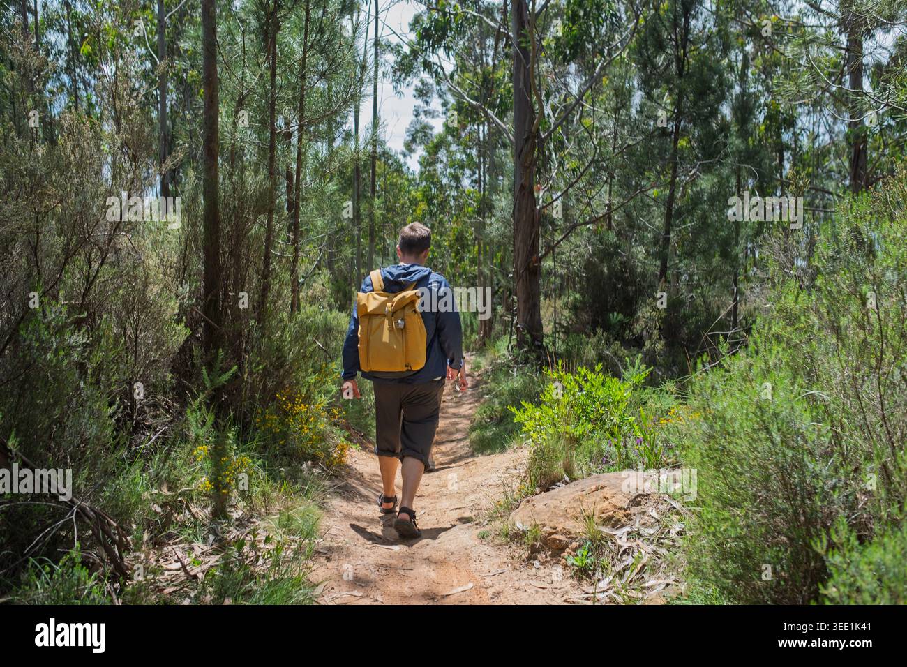 Rückansicht eines Mannes mit gelbem Rucksack, der auf einem schmalen, unbefestigten Pfad durch einen üppig grünen Wald spaziert Stockfoto