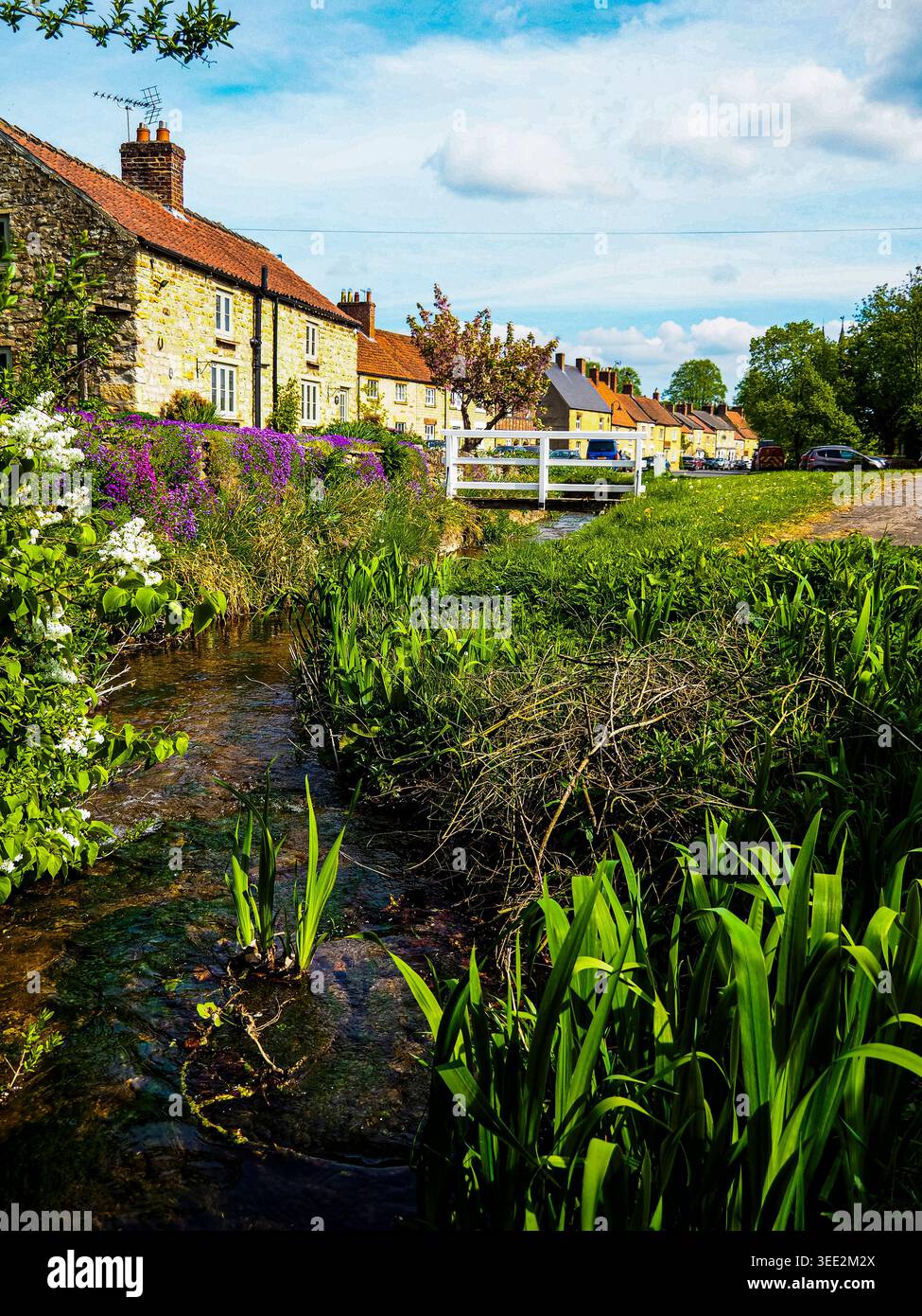 North Yorkshire Moors, Helmcley. Stockfoto