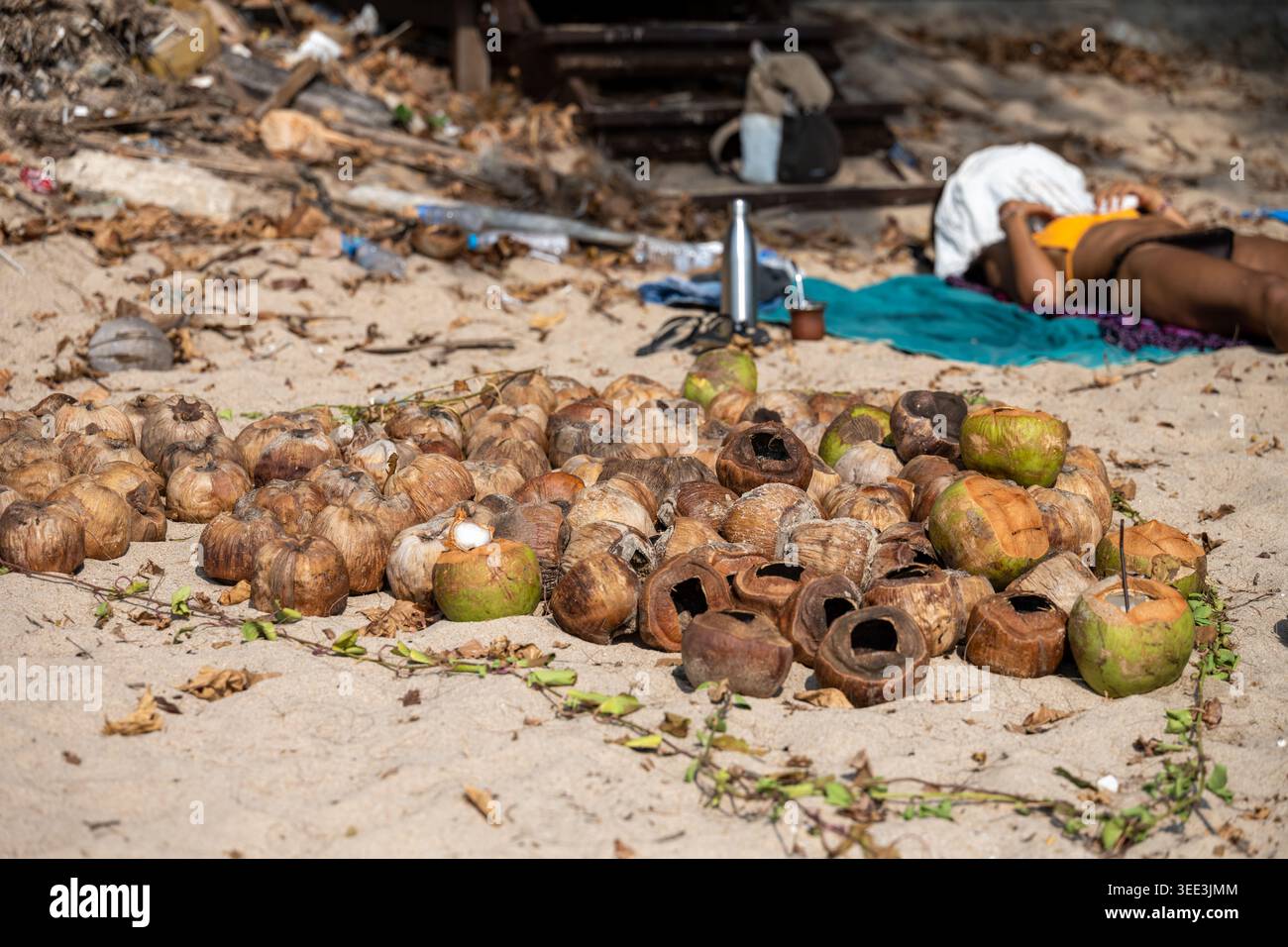 Krabi Thailand 23. Februar 2026. Leere Kokosnussschalen liegen am Sandstrand in der Nähe des Erholungsgebiets am Strand Ao Nang. Stockfoto