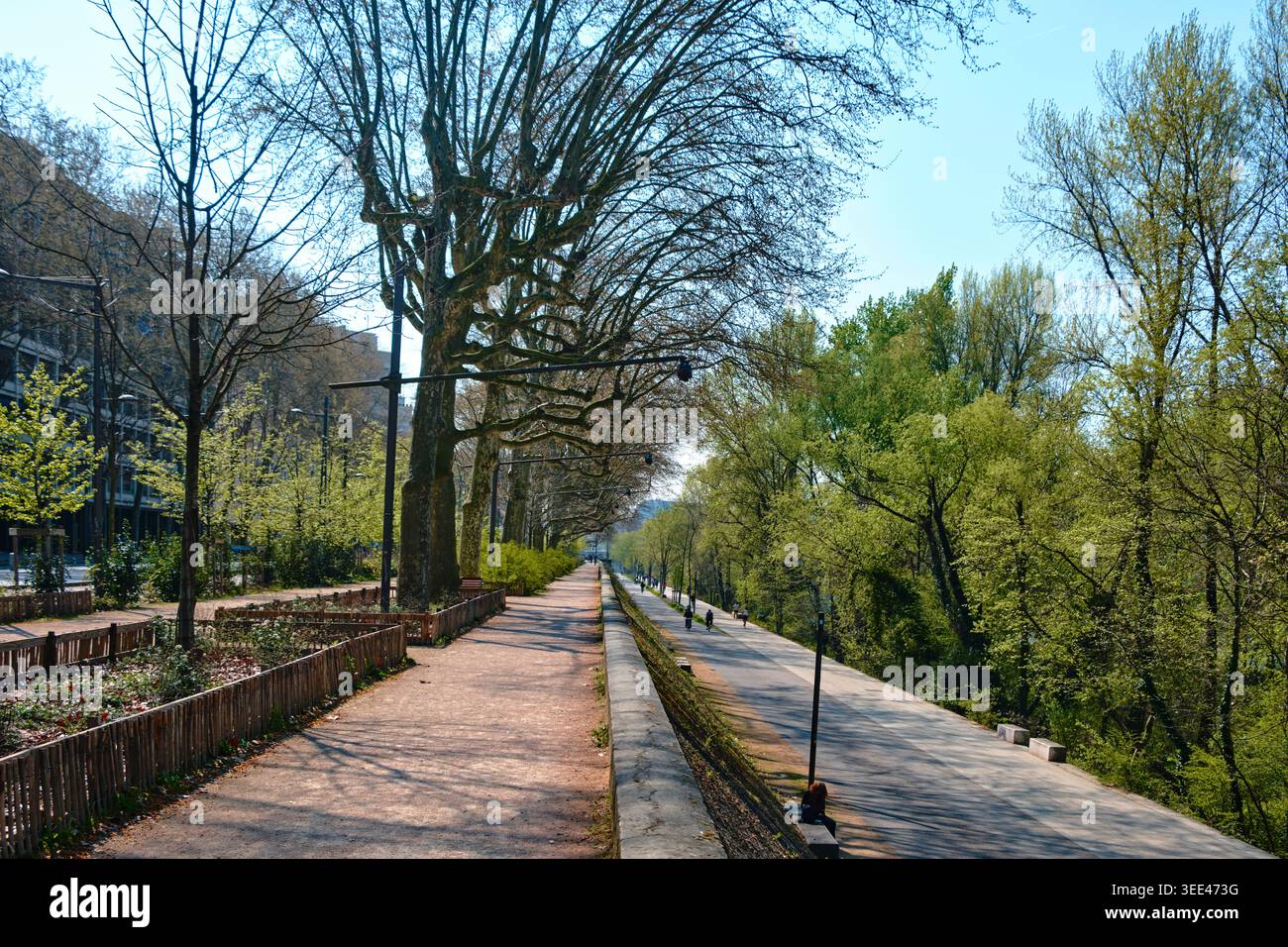 Lyon, Frankreich - 19. März 2026: Malerischer, von Bäumen gesäumter Wander- und Radweg entlang des Ufers an einem sonnigen Frühlingstag Stockfoto