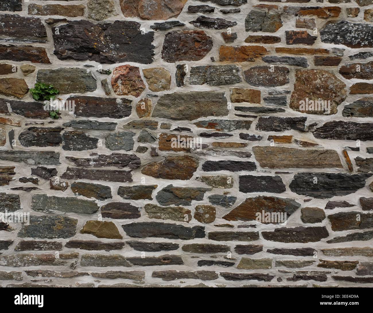 Hintergrund einer alten traditionellen Steinmauer mit Mörtel- und Moosdetails, Normandie, Frankreich. Stockfoto