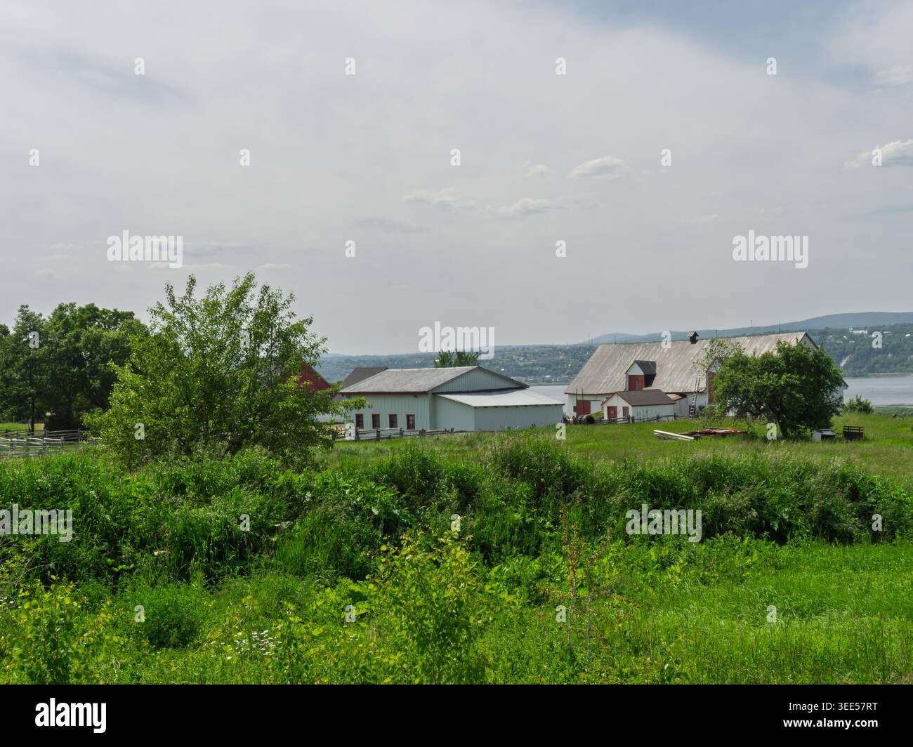Bauernhöfe befinden sich auf der Île d'Orléans in der Nähe von Quebec City, Kanada. Stockfoto