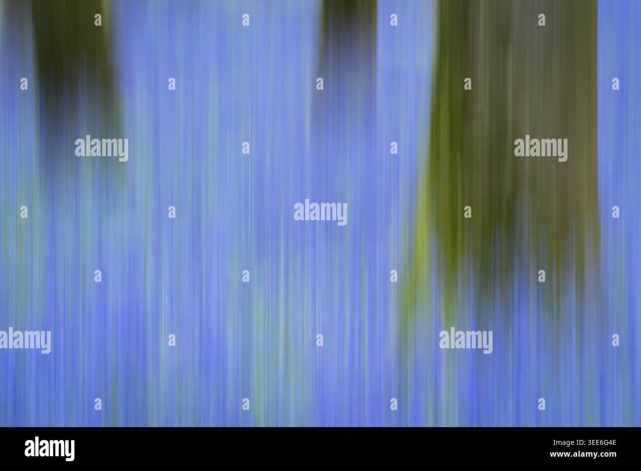Ansicht der abstrakten Bewegungsunschärfe von Blauglockenwäldern mit vertikalen Streifen von blauem und grünem Licht in Oxfordshire, Großbritannien. Stockfoto