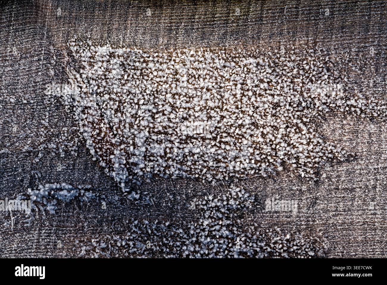 Raureif auf Textilgewebe Stockfoto