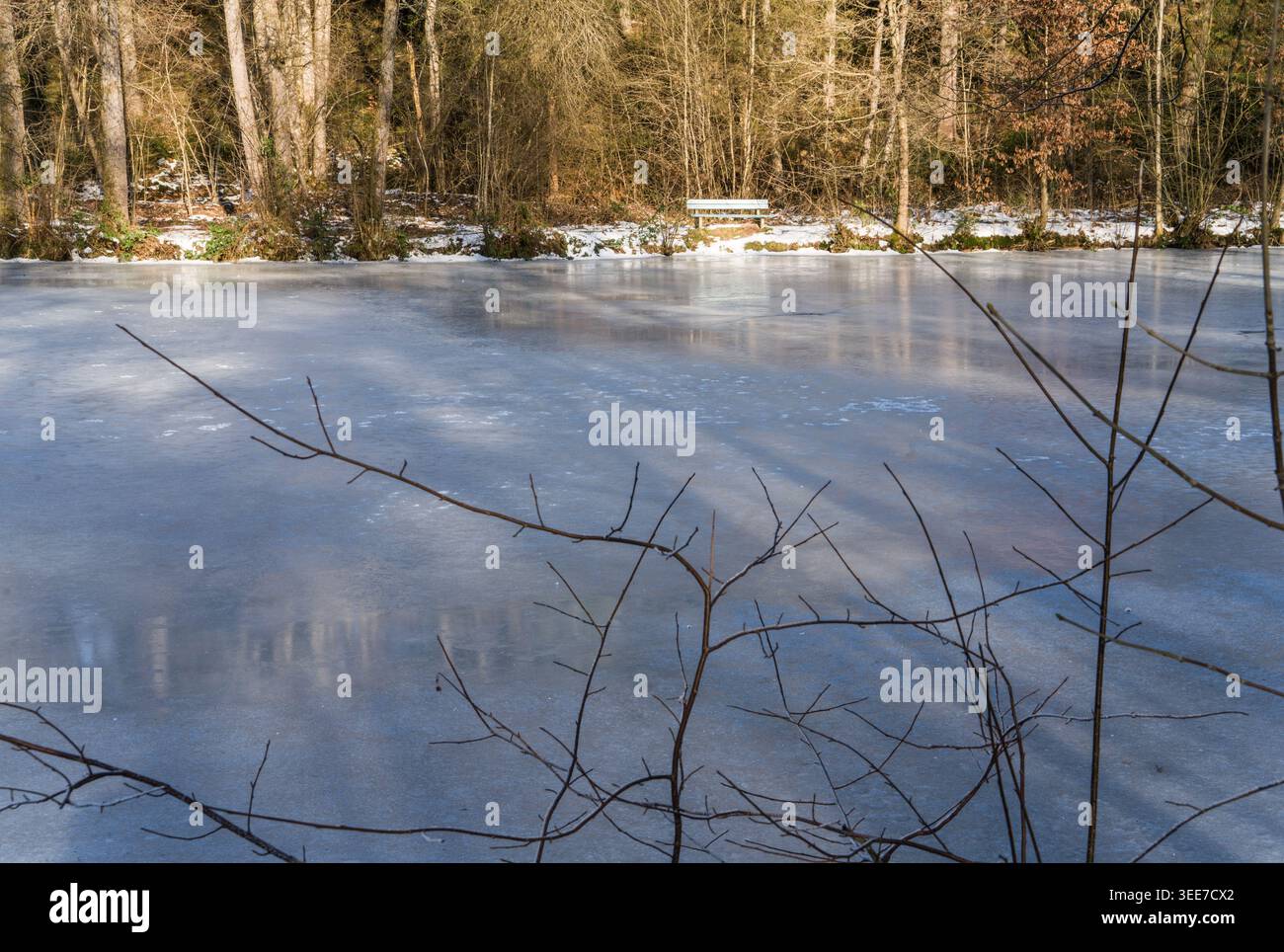 Gefrorene Teichfläche im Winter, Carolinenteich, Naturpark Solling-Vogler, Solling-Vogler-Region im Weserbergland, Niedersachsen, Deutschland, EUR Stockfoto