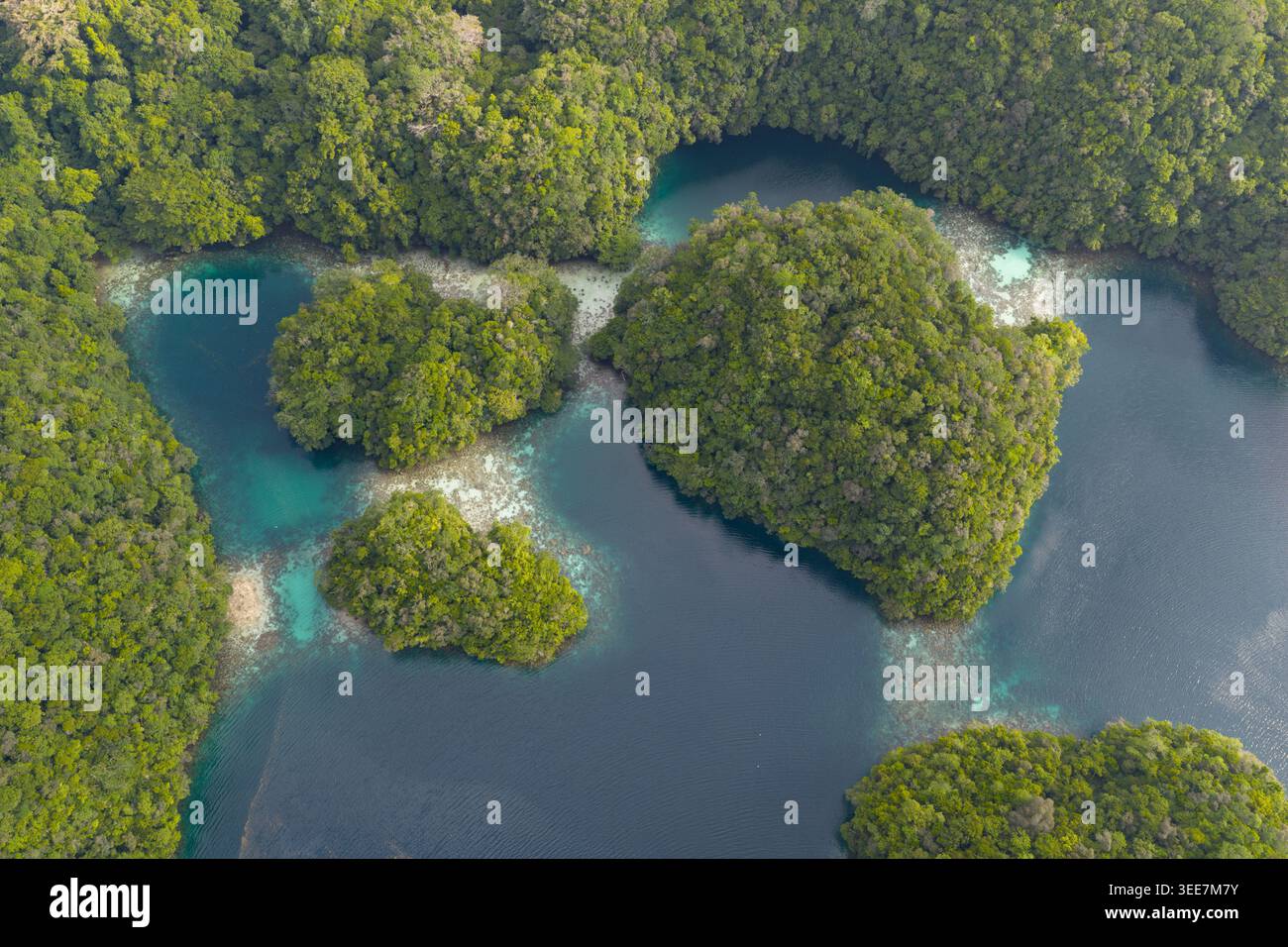 Felsinseln, bedeckt von tropischem Wald, erheben sich aus Palaus südlicher Lagune. Dieser Inselstaat ist ein beliebtes Ziel für Taucher und Schnorchler. Stockfoto