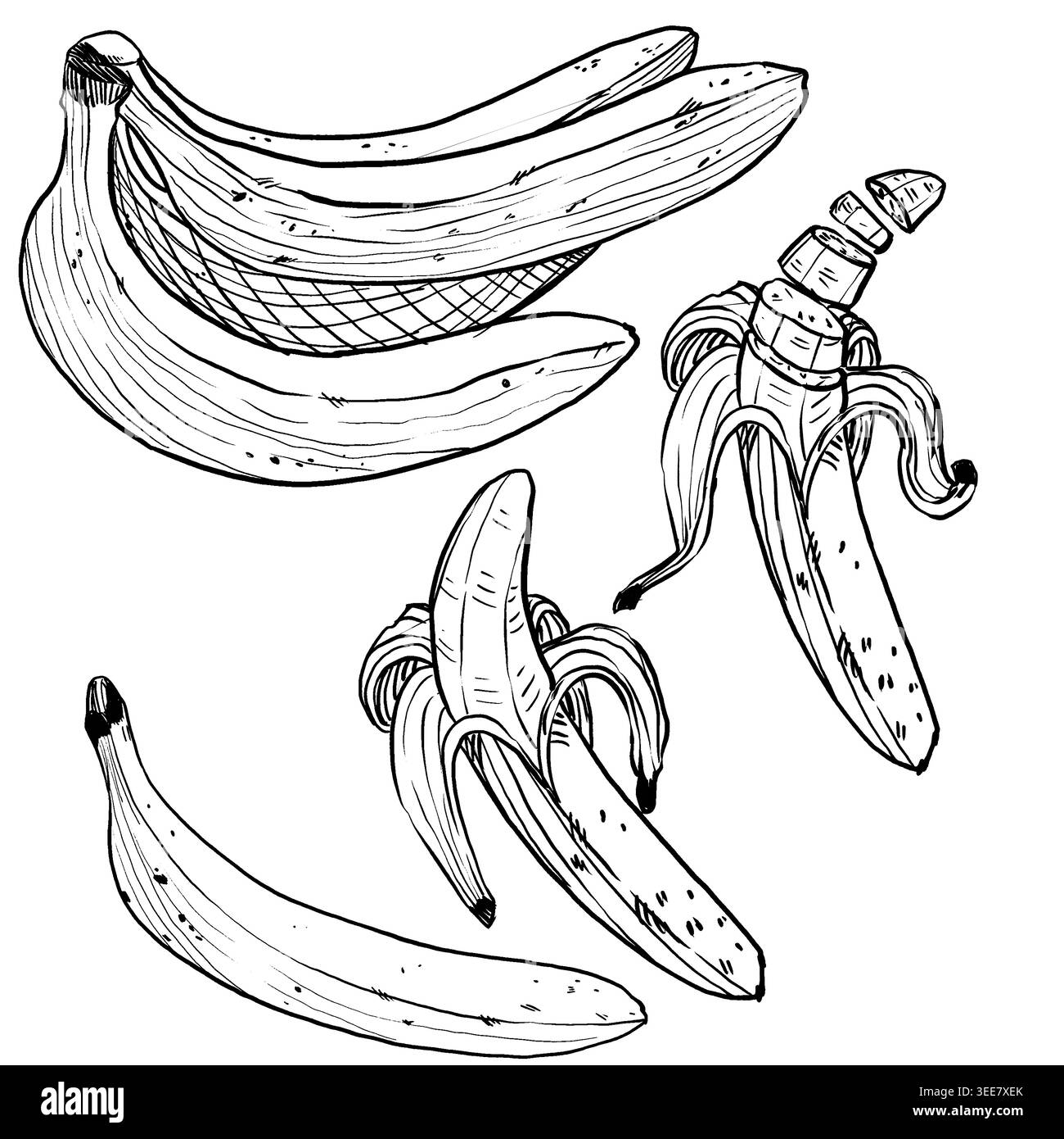 Schwarz-weiße Linie Art Vektor Set von Bananen: Bunch, ganz, geschält mit gefalteter Haut und geschnitten mit fliegenden Stücken. Minimalistisches Essen für Stock Vektor