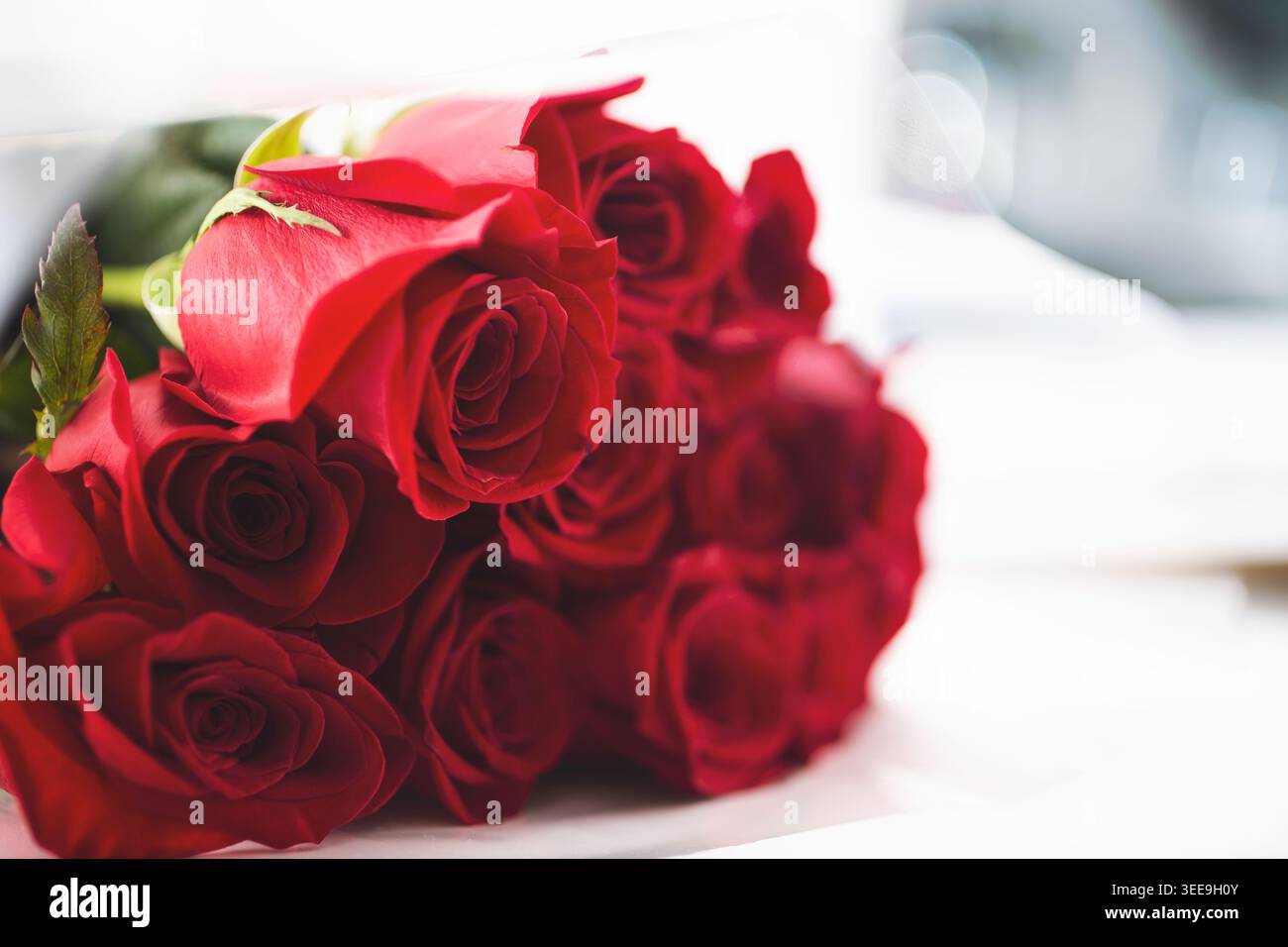 Ein Blick auf einen Strauß roter Rosen auf der linken Seite des Rahmens. Stockfoto