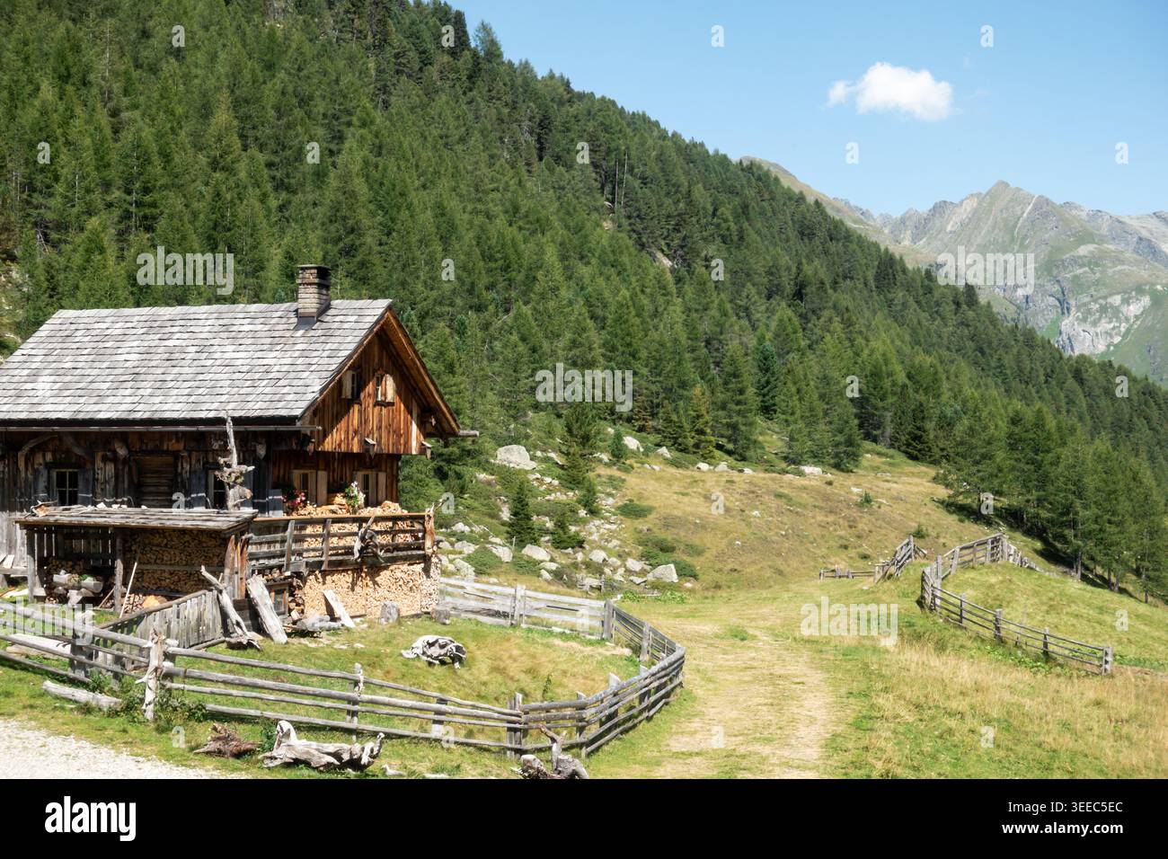 Italienischer Almhof und Almweide in den Dolomiten an einem sonnigen Sommertag Stockfoto