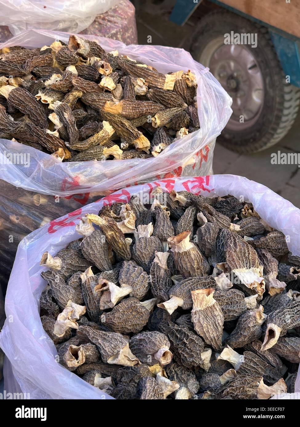 Morel-Pilze zum Verkauf auf dem Bauernmarkt in Songpan Ancient Town, Provinz Sichuan in China Stockfoto