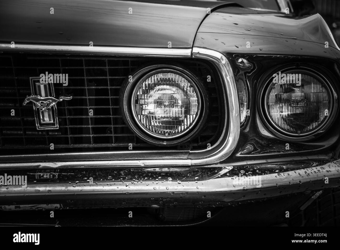 Der Ford Mustang definierte die Ponywagenkategorie und wurde seit seinem Debüt im April 1964 zu einem globalen Symbol der amerikanischen Freiheit und Leistung. Stockfoto