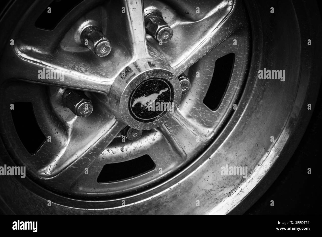Der Ford Mustang definierte die Ponywagenkategorie und wurde seit seinem Debüt im April 1964 zu einem globalen Symbol der amerikanischen Freiheit und Leistung. Stockfoto