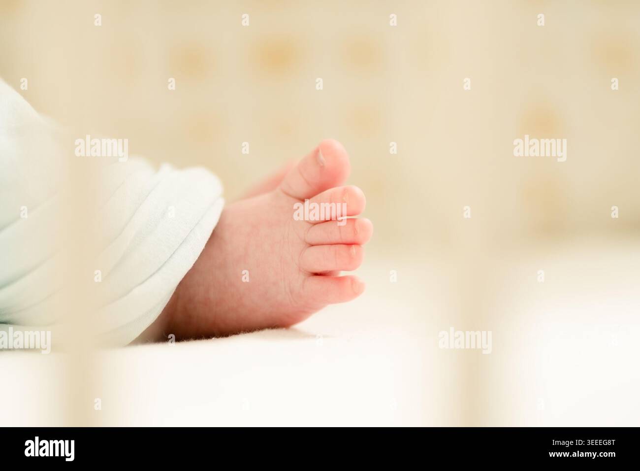 Babyfüße in sanftem Fokus, die die zarten und winzigen Merkmale des frühen Säuglings zeigen und die Unschuld und Reinheit des neuen Lebens einfangen Stockfoto