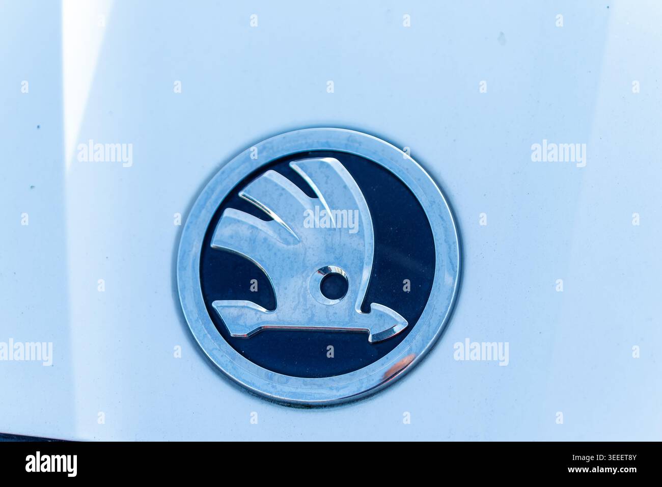 Verchromtes Firmenlogo auf einer weißen Motorhaube Stockfoto