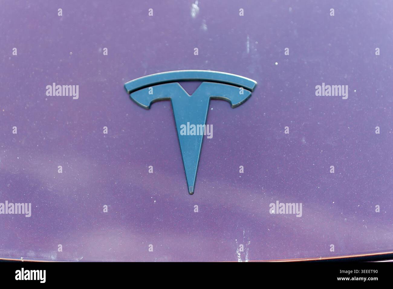 Nahaufnahme des tesla Car-Logos auf einer einzigartigen violetten Motorhaube, die Elektrofahrzeuge repräsentiert Stockfoto