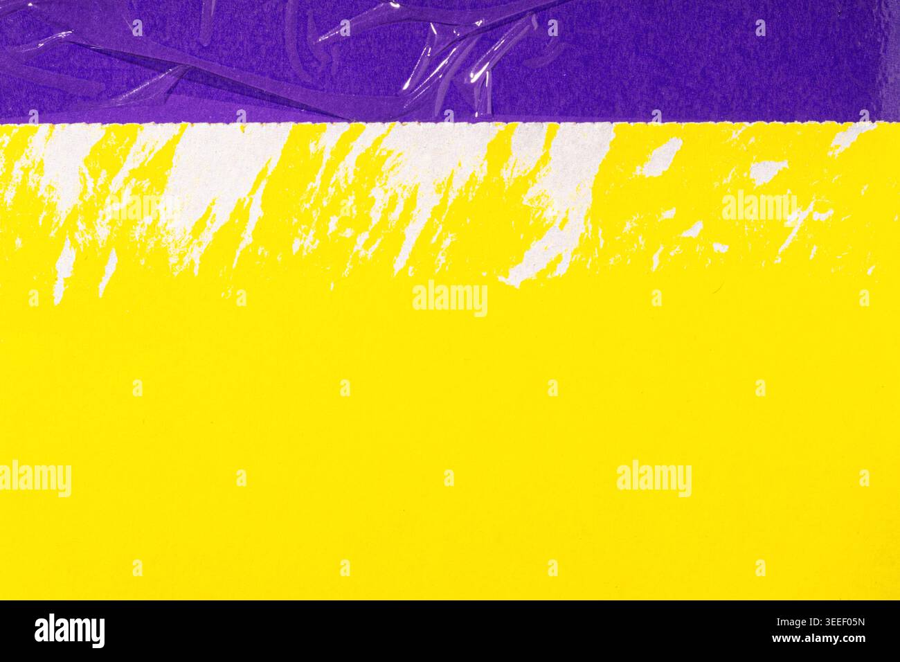 Abstrakter Texturhintergrund mit hellgelbem Papier, das sich von violett trennt und ein raues transparentes Band mit gerissener Kante freigibt Stockfoto