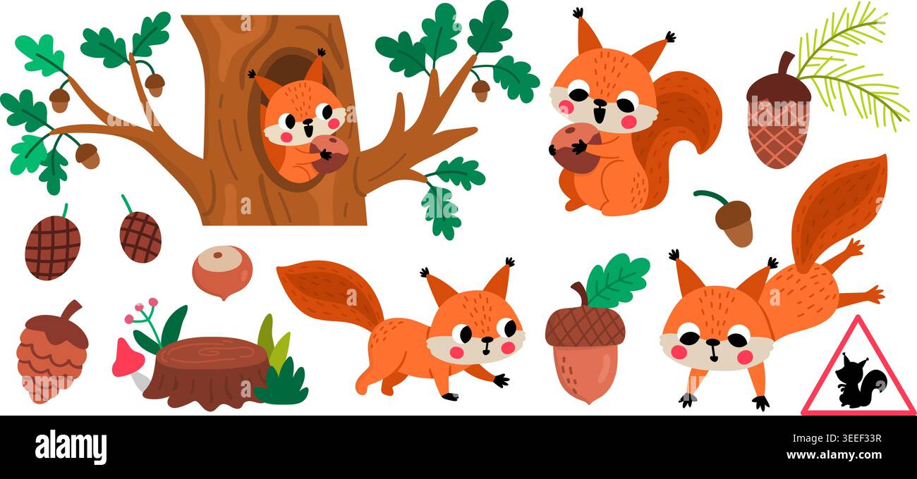 Cartoon Vektor Eichhörnchen Set. Waldtiere Kollektion für Kinder. Vektor süße Waldfiguren mit Eiche, Kegel, Eicheln, Stumpf, sitzend in holl Stock Vektor