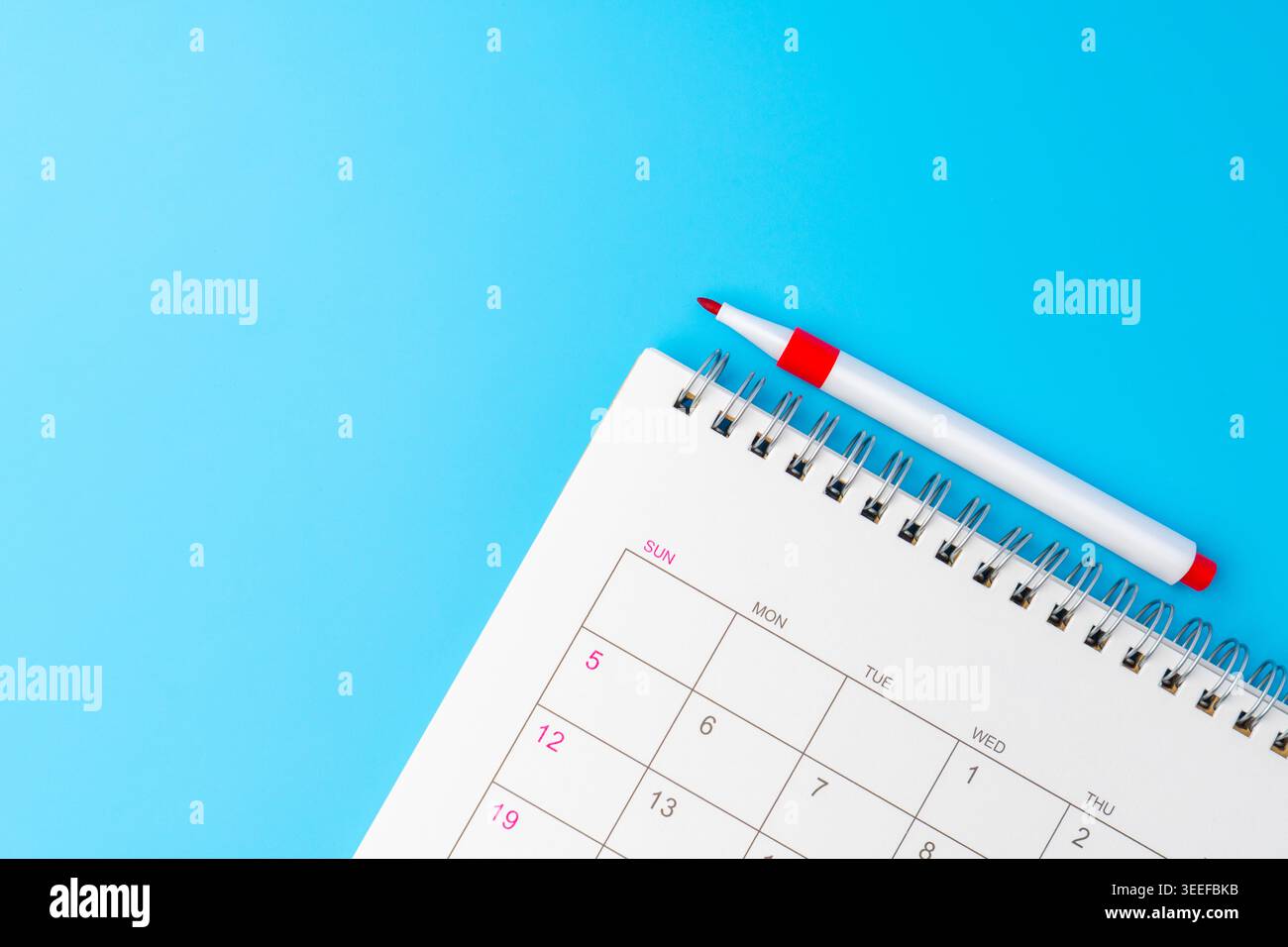 Top-Down-Ansicht einer monatlichen Kalenderseite mit einem roten Markierstift. Konzepte für Planung, Planung und Zeitmanagement. Kopierbereich für Text Stockfoto