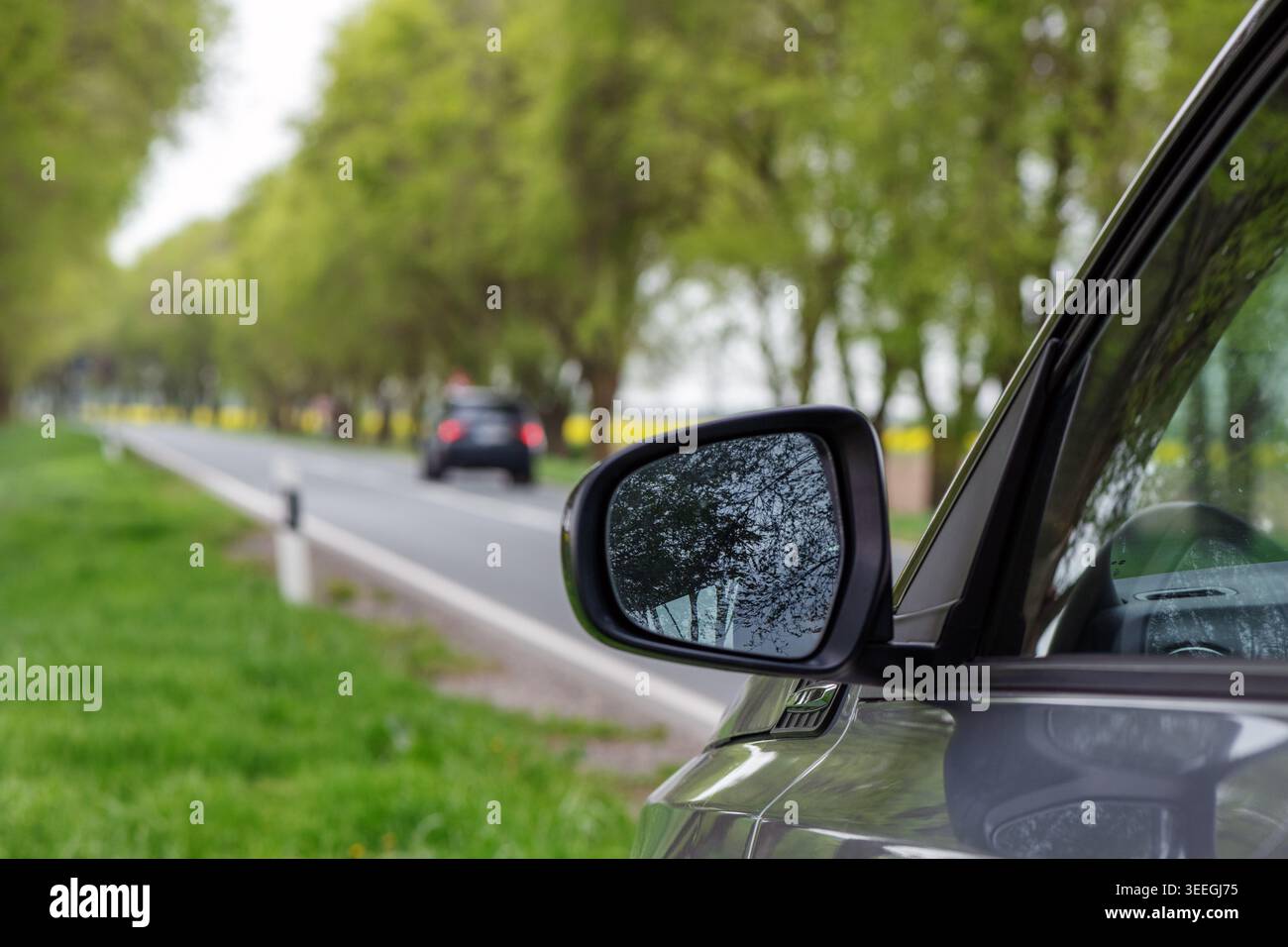 Spiegelreflektion des Fahrzeugs über baumgesäumte Landstraße mit Federantrieb, selektiver Fokus Stockfoto