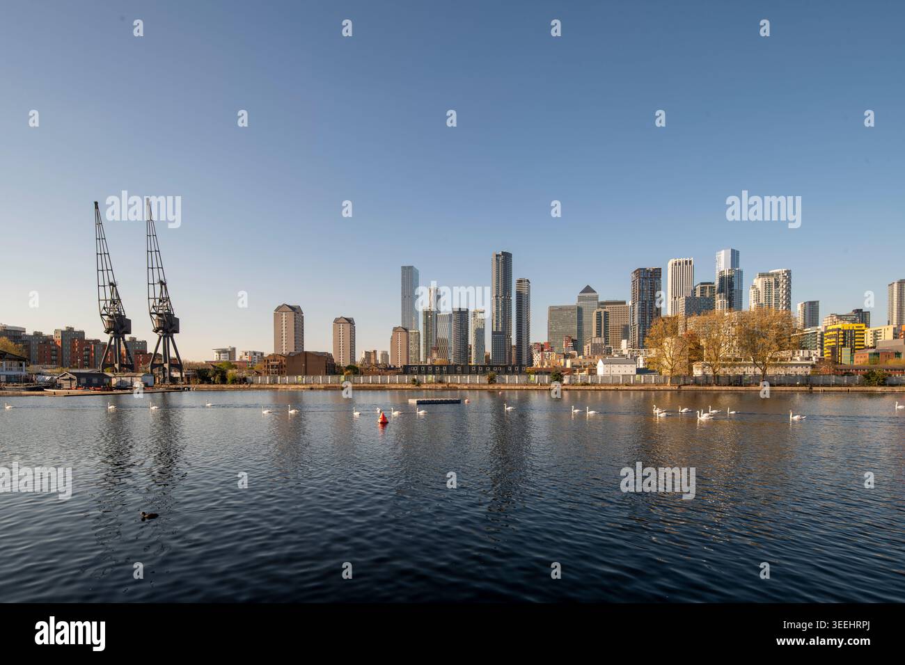 Skyline von Canary Wharf über das Millwall Dock in London Docklands, England. Stockfoto