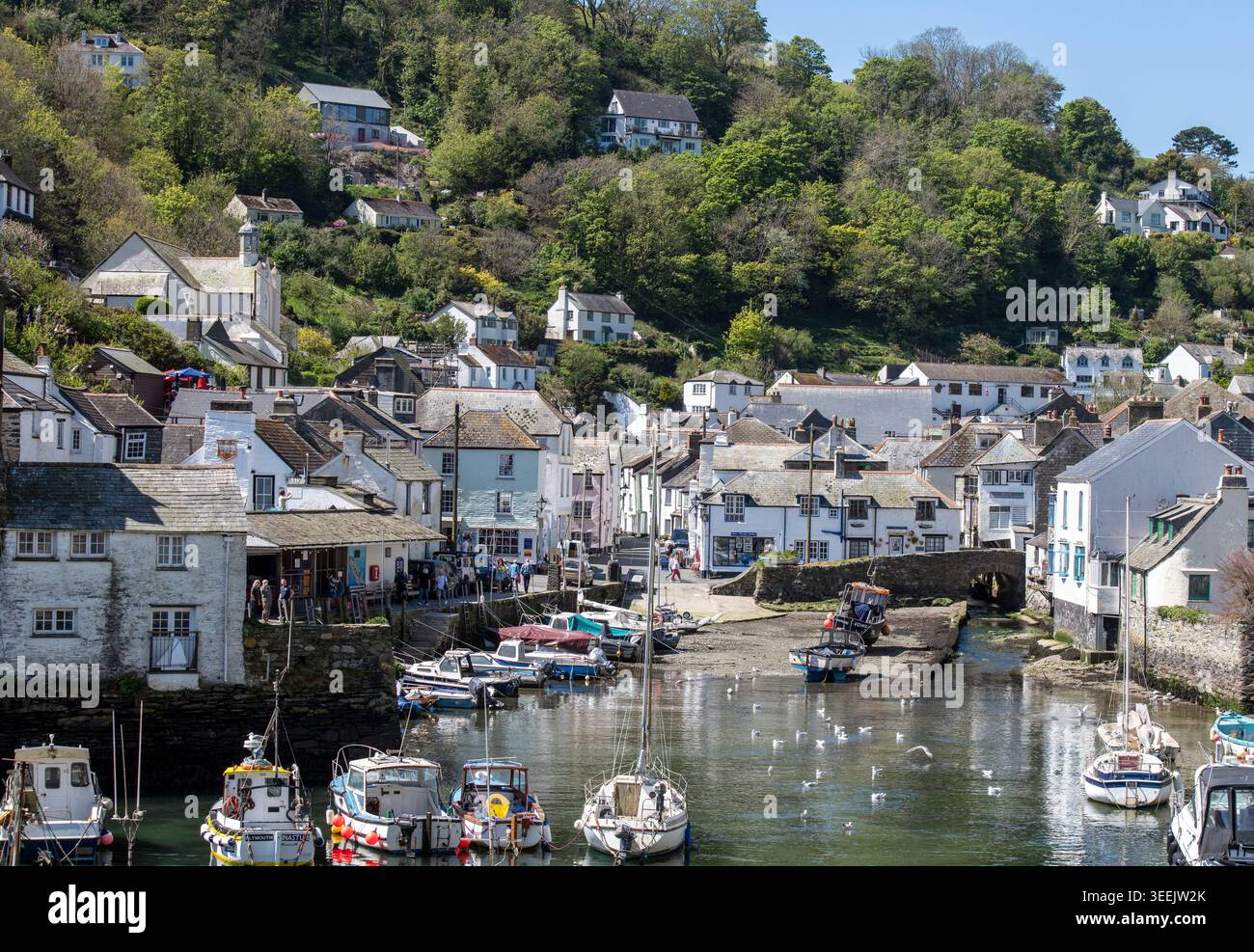 Blick auf Polperro und seinen Hafen in Cornwall, England, Großbritannien Stockfoto