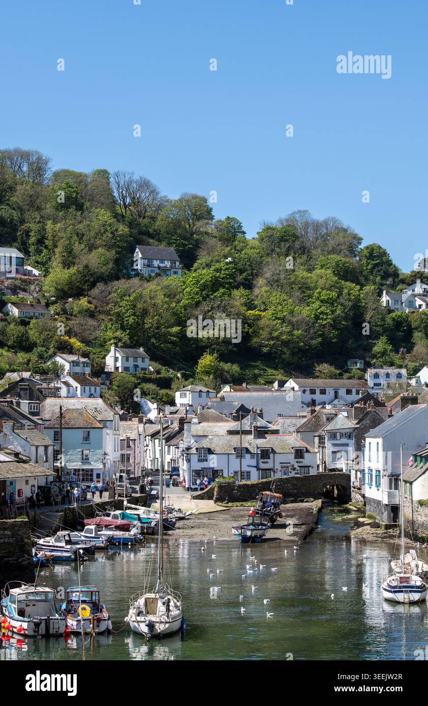Blick auf Polperro und seinen Hafen in Cornwall, England, Großbritannien Stockfoto