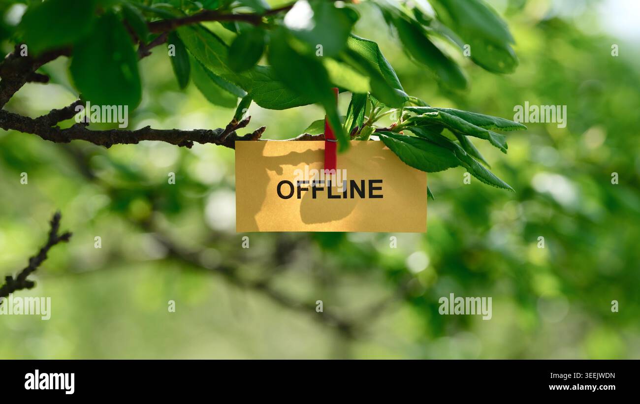 Ein gelber Hinweis mit dem Wort Offline auf einem grünen Baumzweig, der ein digitales Detox-Konzept darstellt. Nahaufnahme. Stockfoto